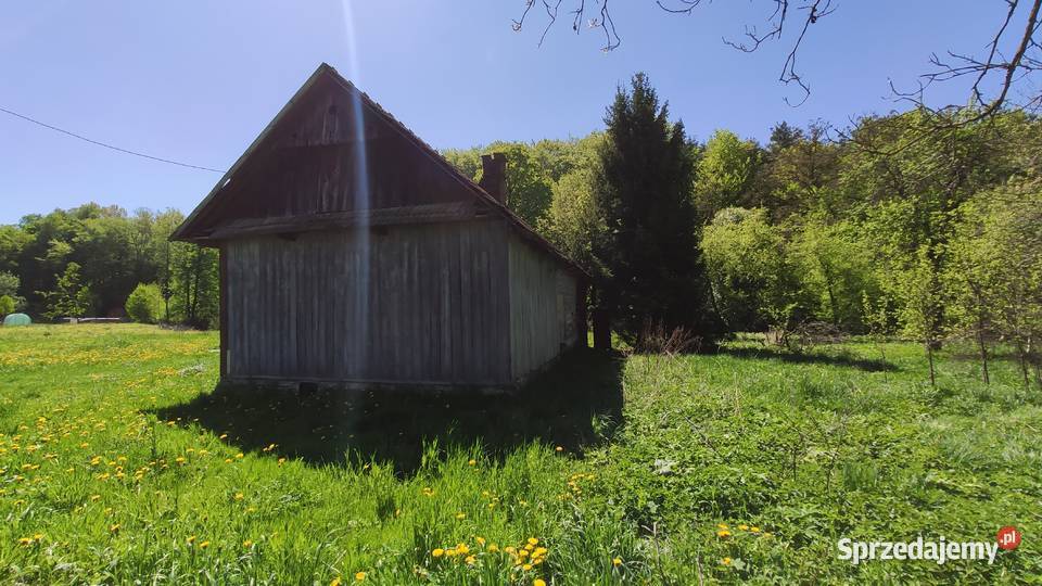 Działka Budowlana Kamionna gmina Trzciana 60a Sprzedaż