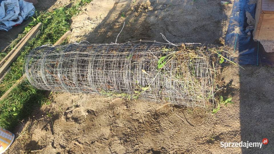 Siatka leśna 150 x 85m Siekierki Wielkie
