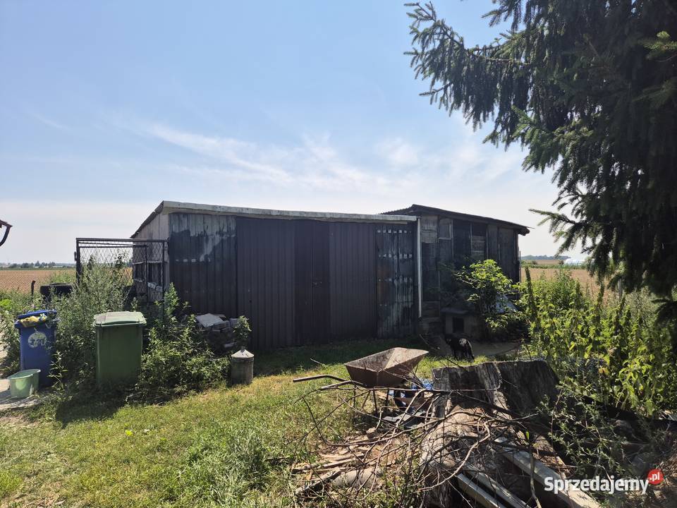 Dom 80m2 działka 900m2 kujawsko-pomorskie Trzebcz Szlachecki