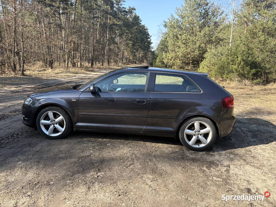 Audi A3 sline 8p 20tdi CR 170 DSG stronic 2009 Jelcz-Laskowice