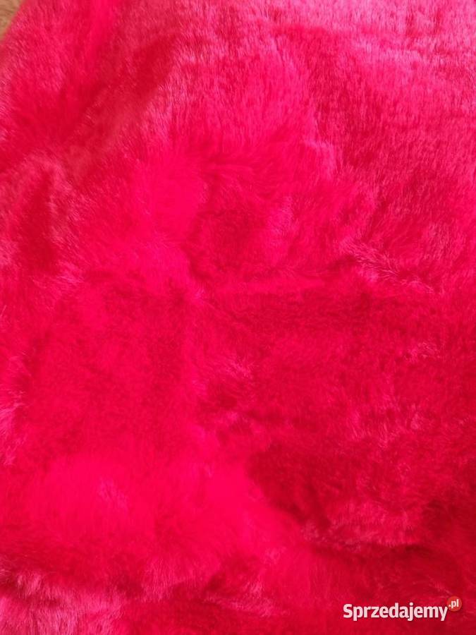 Bluza Świętego Mikołaja pieska Nowa Warszawa