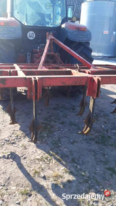 Sprzedam grubera bezorkowca nieuszkodzony Dęby Szlacheckie