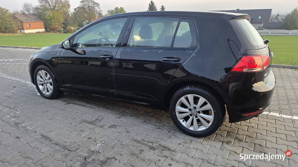 Volkswagen Golf 7 2015r BlueMotion Salon 1 Golf Kraków