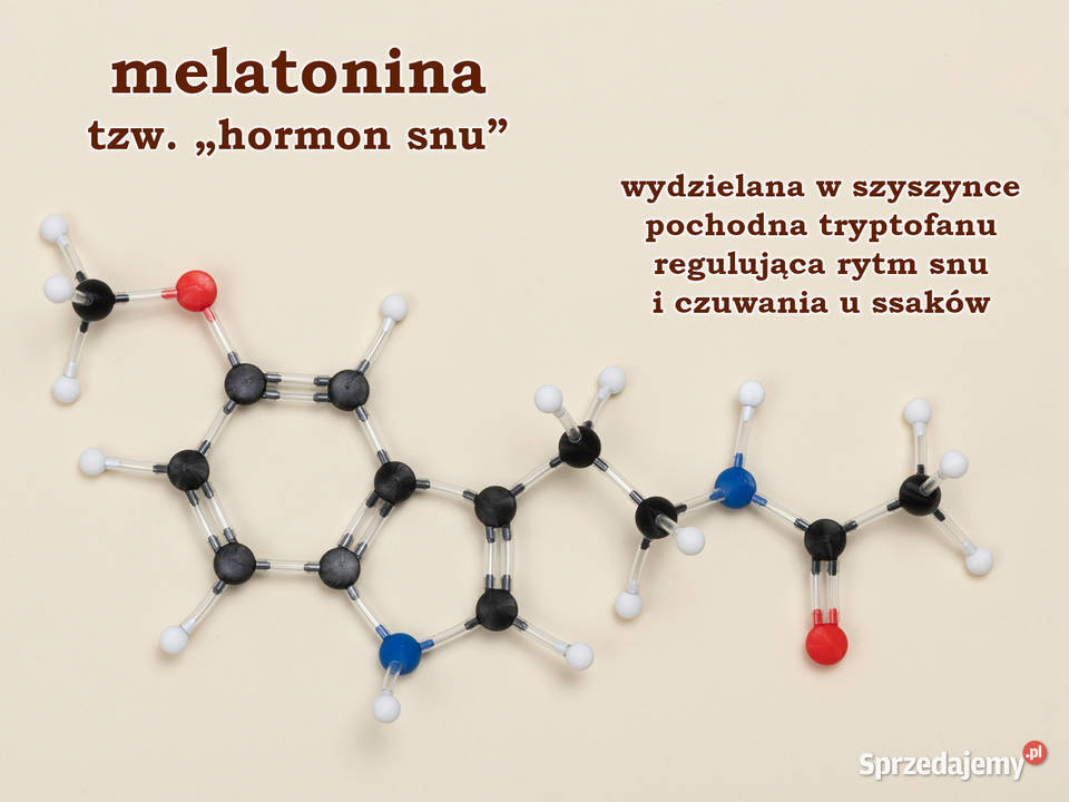 Modele atomów CHEMIA ORGANICZNA szkoła podst 200 Artykuły szkolne Warszawa