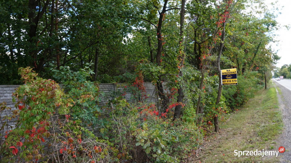 Działka budowlana w Józefowie mazowieckie Józefów