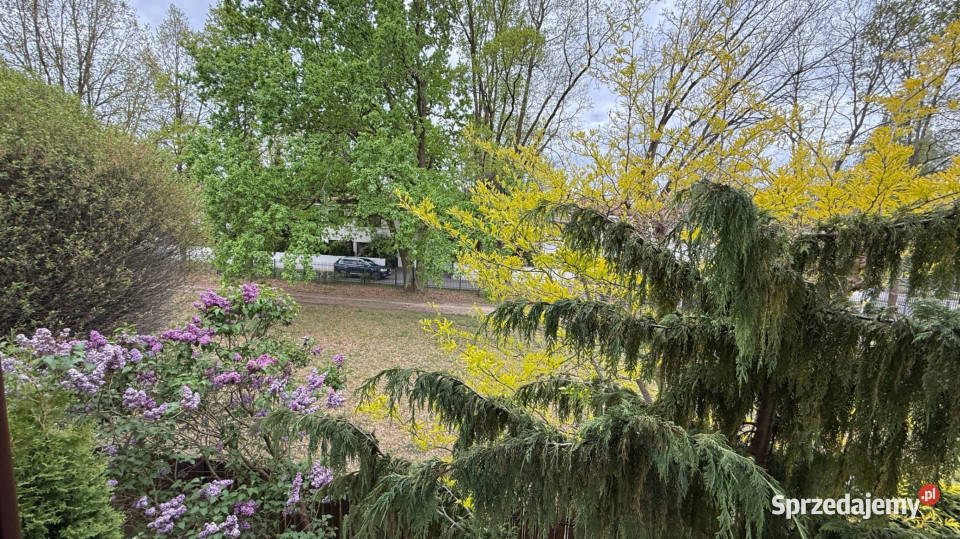 Rodzinny dom z ogrodem KonstancinJeziorna ASW 480m2 Konstancin-Jeziorna sprzedam