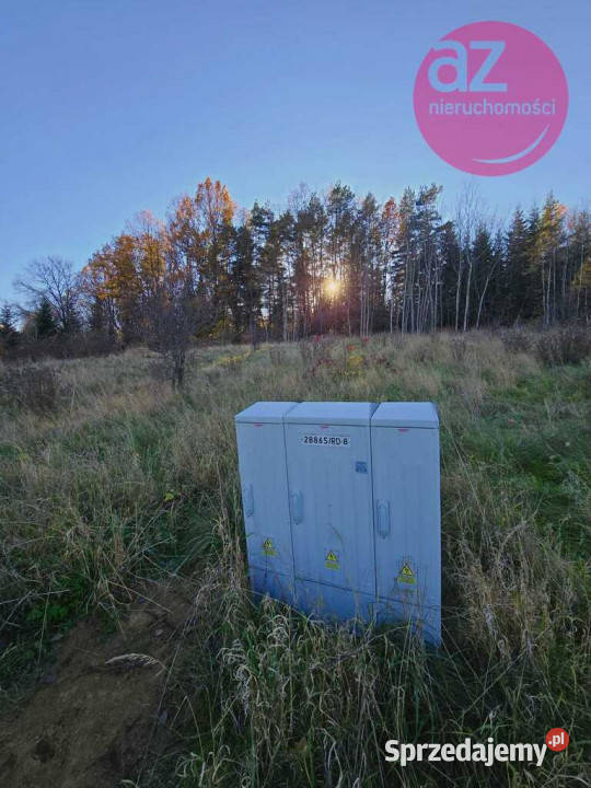 6 działek budowlanych w Stróżówce 24a sprzedam