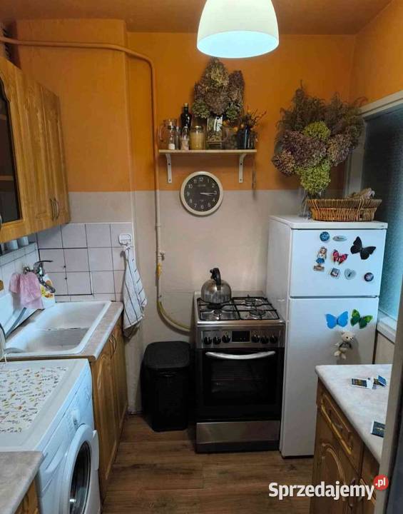 1pok 28met Modlińskiej BALKONPIWNICAWINDA Liczba pokoi 1 Wrocław