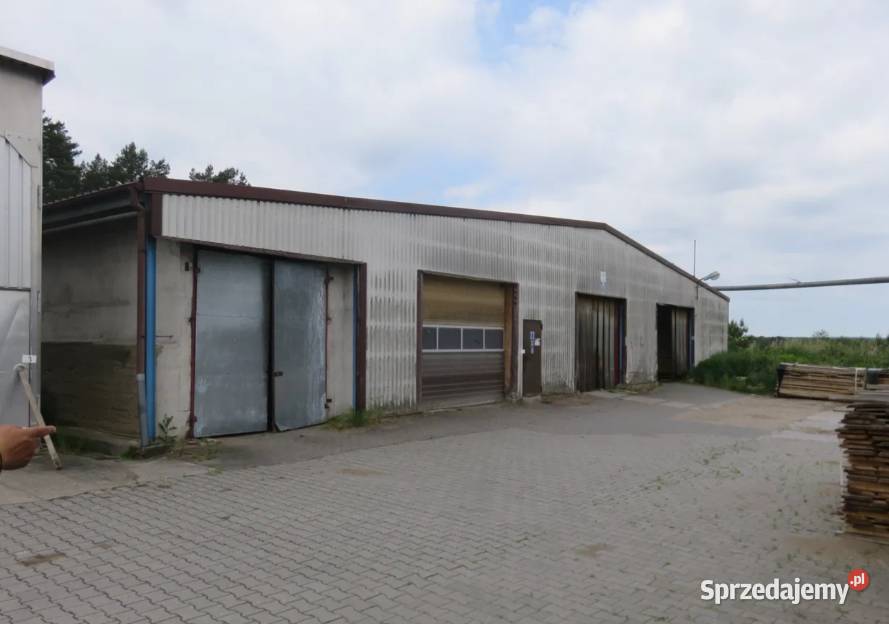 Syndyk sprzeda budynki urządzenia prawo Gubin sprzedam