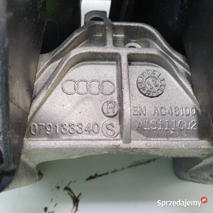 KOLEKTOR SSĄCY AUDI A8 D4 079133110 Lipno