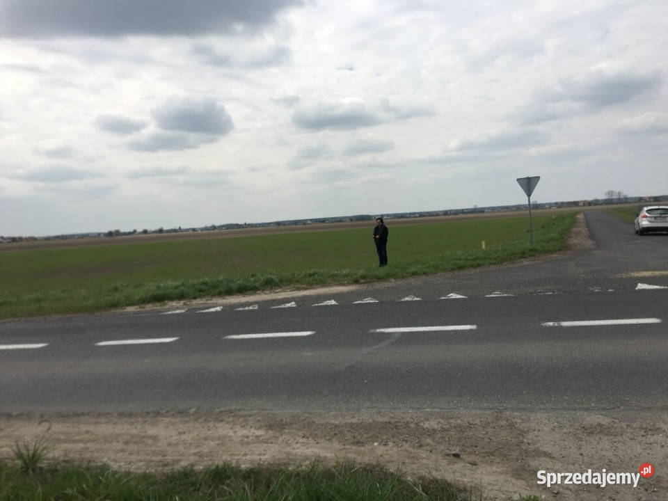 Grunt inwestycy Konarzewo 19498 m2 bezpośrednio 290zł/m2 wielkopolskie