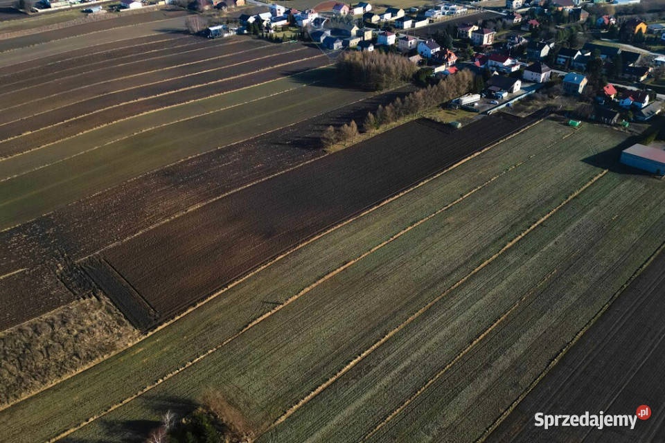 DZIAŁKA BUDOWLANA W MIECHOWIE sprzedam
