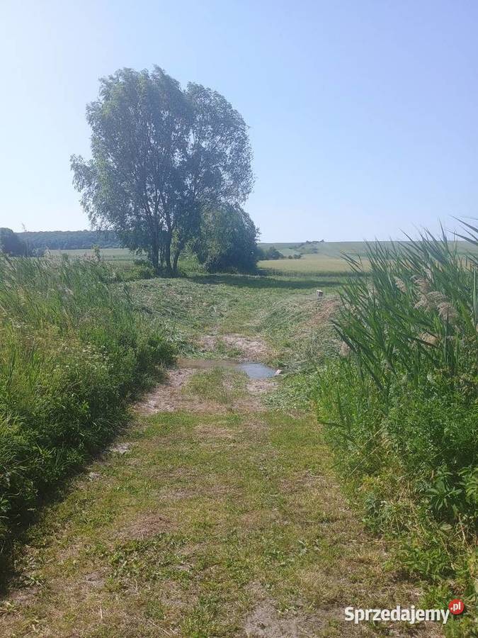 działka rekreacyjna Pińczów