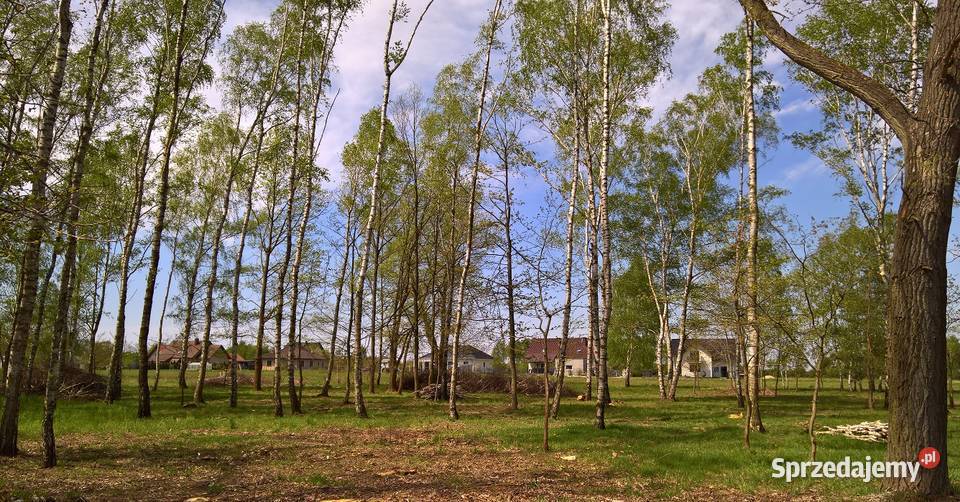 Okazja działka budowlana Gronów gmina Dąbie