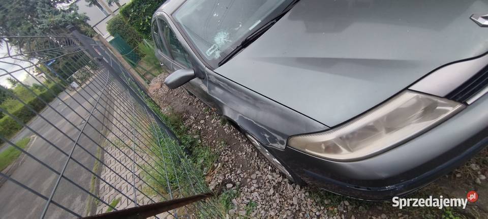 Laguna z GAZEM Wrocław