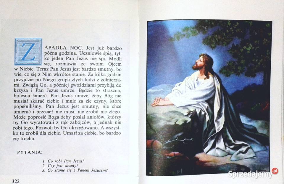 Biblia w obrazkach najmłodszych Kenneth N Taylor Rok wydania 1990 Chełm