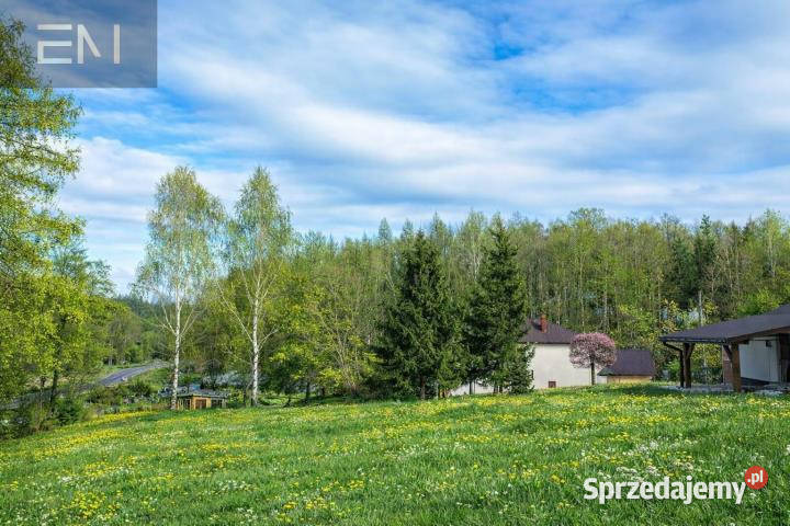 Grunt Niepla 1500m2 podkarpackie