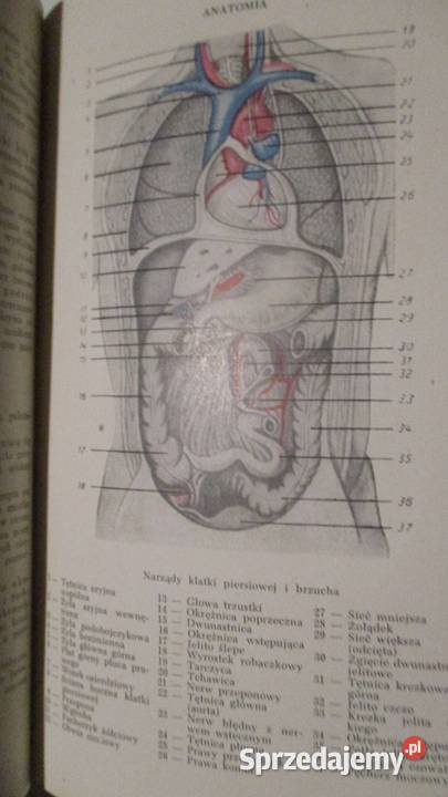 Epidemiologia szczegółowa Gromaszewskij łódzkie Łódź sprzedam