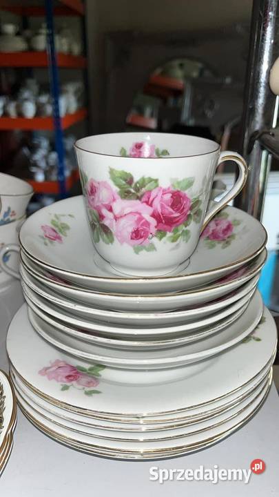 Filiżanka Syg Windsor Made in England Słodkie pomorskie