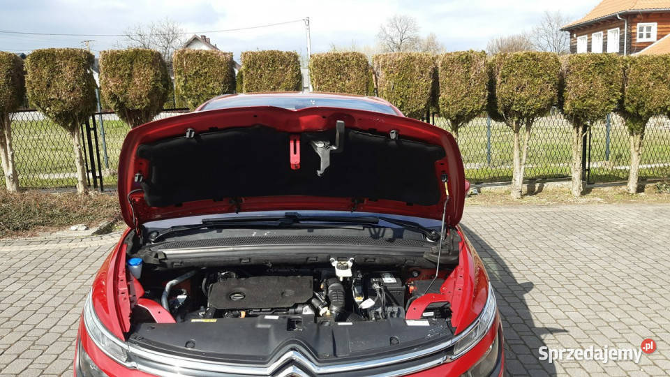 Citroen C4 Citroen C4 Spacetourer 15 BlueHDi małopolskie Bachowice