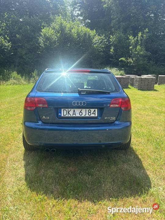 Audi a3 8p 20tdi quattro 2000cm3 A3 Głubczyce