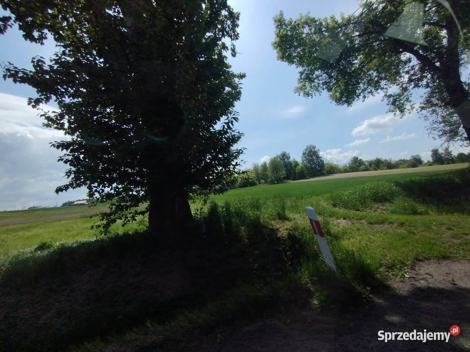 Teren na dużą inwestycję bez pośredników obrzeża Racibórz