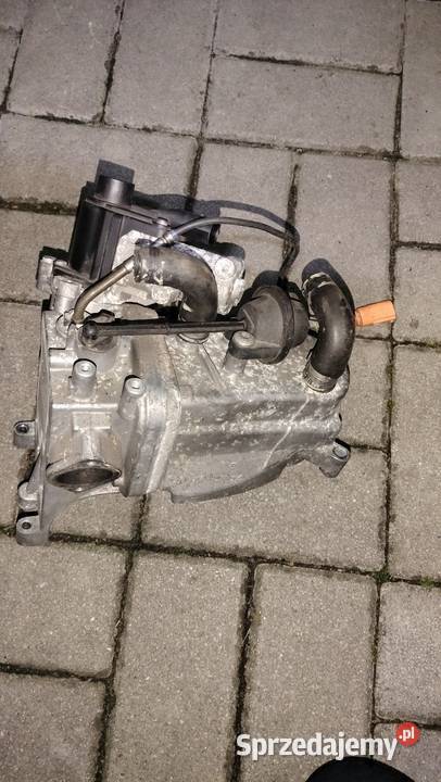 Chłodnica zawór EGR Audi 30 TDI Tomaszów Lubelski