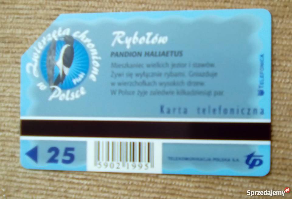 RYBOŁÓW PTAK WIELKICH JEZIOR Piszczac sprzedam