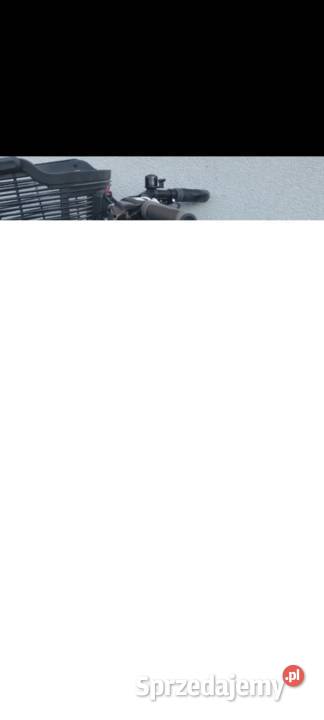 Rower Kross trans damski