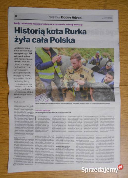 Rzeszów adres sześć dodatków Gazeta Wyborcza Pozostałe lubelskie Parczew