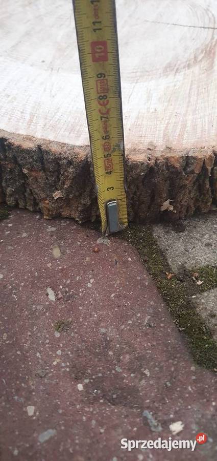 Plastry drewna Pakość