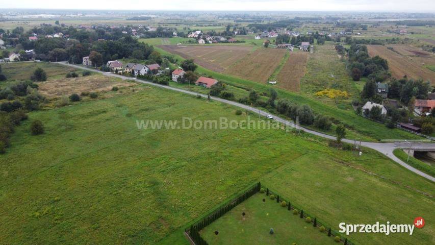 Grunt sprzedam 2000 metrów Krzeczów