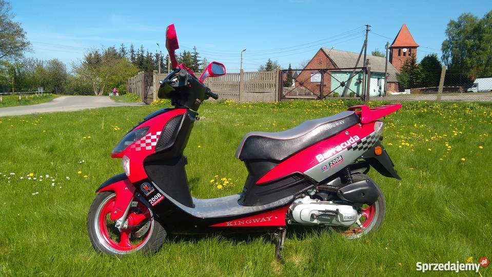 KINGWAY BARRACUDA 50 Nowy metalic Starogard Gdański
