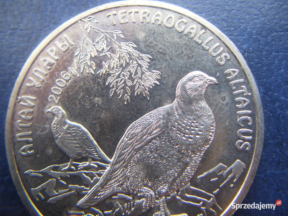 Stare monety 50 tenge 2006 Ułar Kazachstan