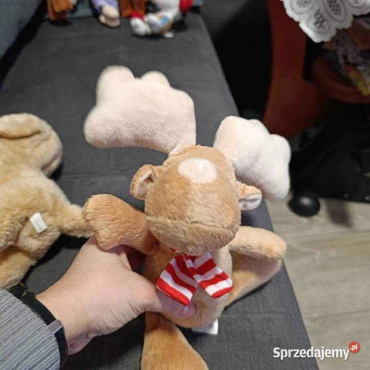 renifer Kinder kolejny Poznań sprzedam