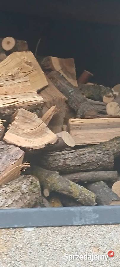 Deewno opałowe suche lubelskie Terespol sprzedam