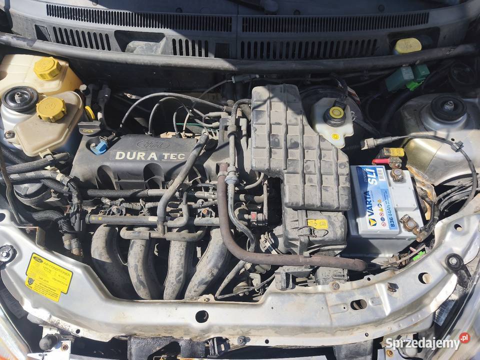 Ford Streetka 2004 16 Benz 136 przebiegu Cabrio Łuków
