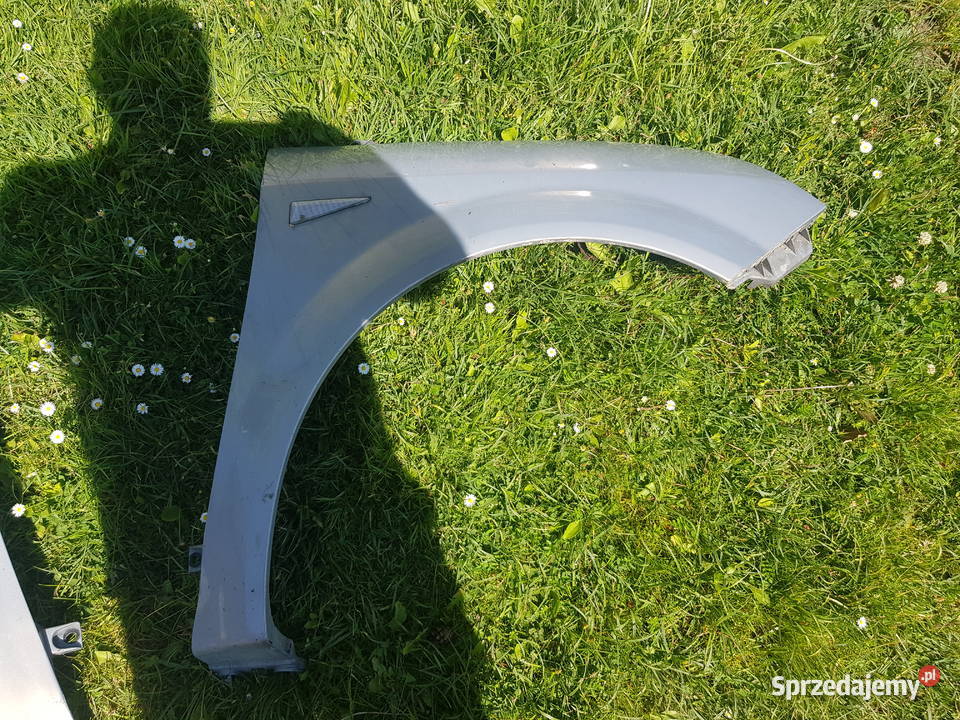 renault scenic II blotnik prawy świętokrzyskie Jędrzejów