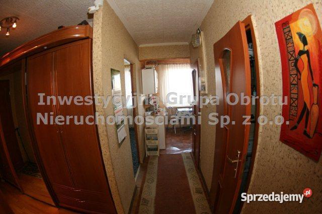 mieszkanie 6300m2 3 pok Zabrze Liczba pokoi 3 Zabrze