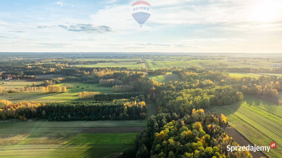Dom z potencjałem w Toporowie z dużą działką asfalt Toporów