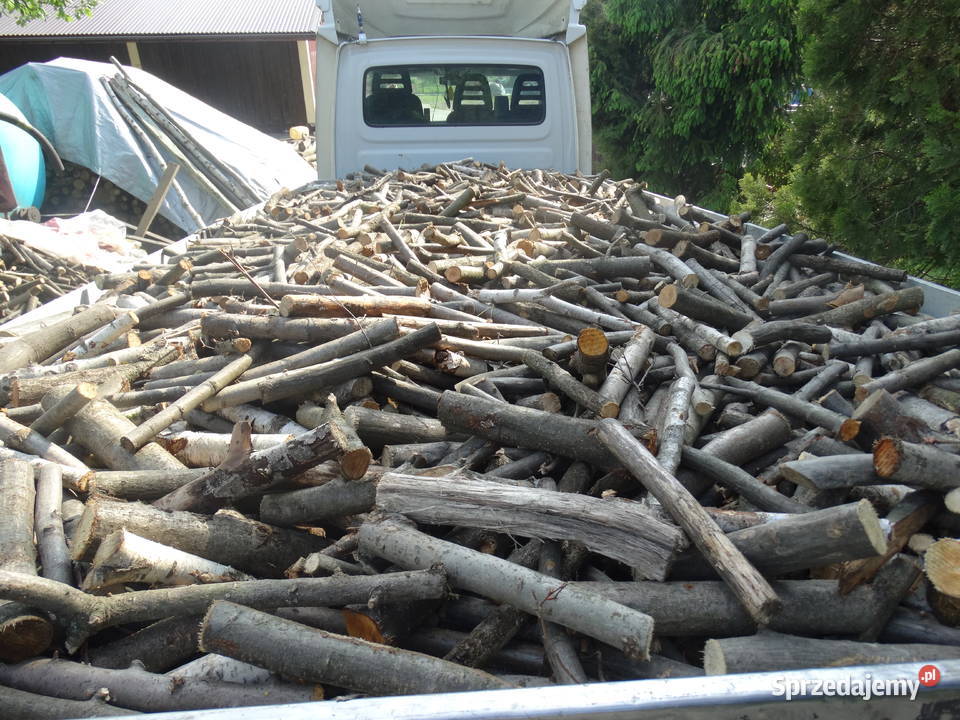 Drewno opałowe konary pocięte dęb grab Brzostek sprzedam
