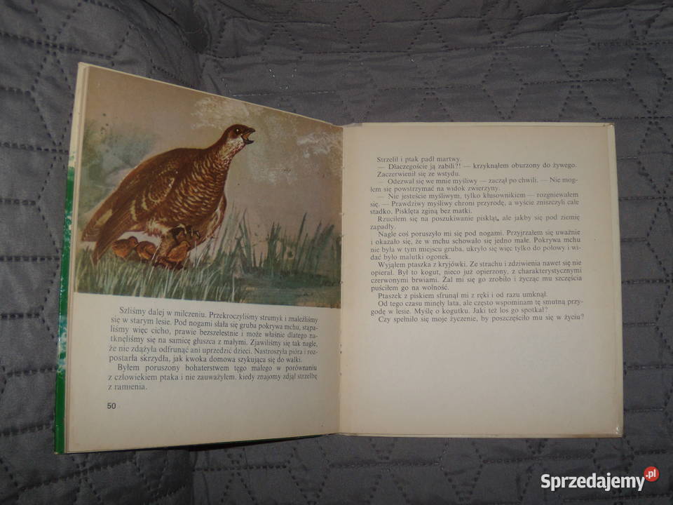 Bociany Piotrusia Włodzimierz Gżycki