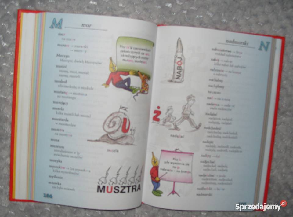 Napisz to Poprawnie Słownik ortograficzny klas Rawicz