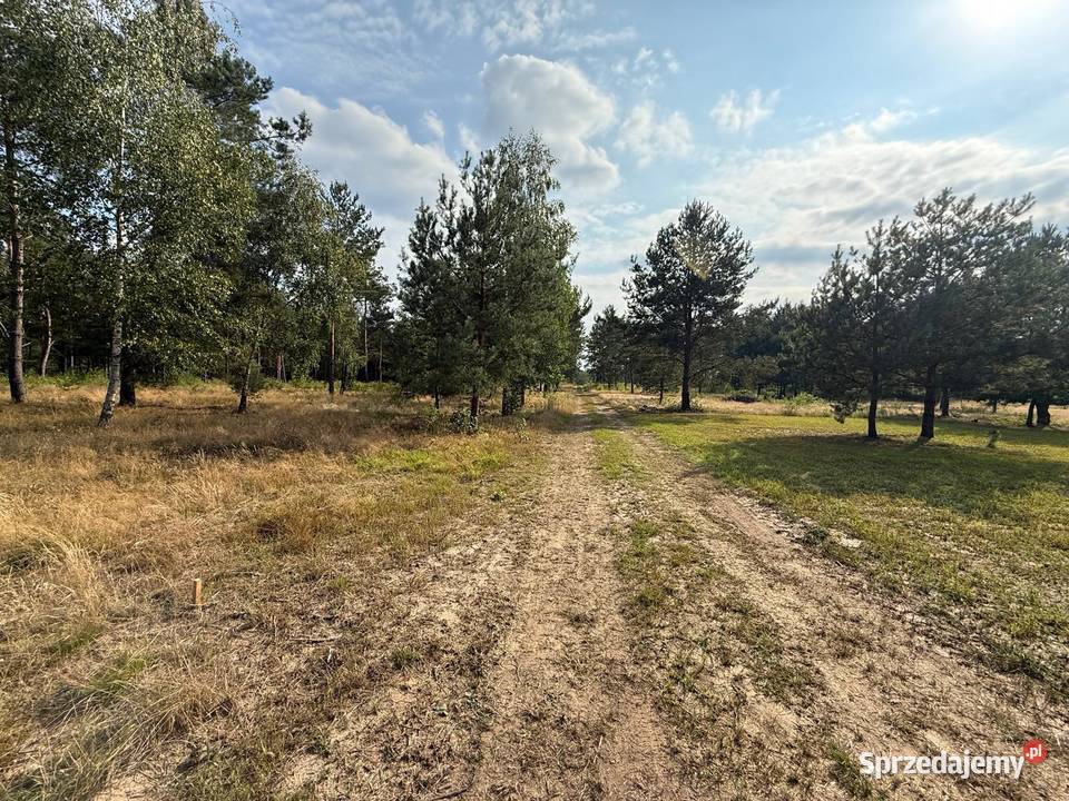 Działka z dostępem do jeziora Sumino Gorzewo