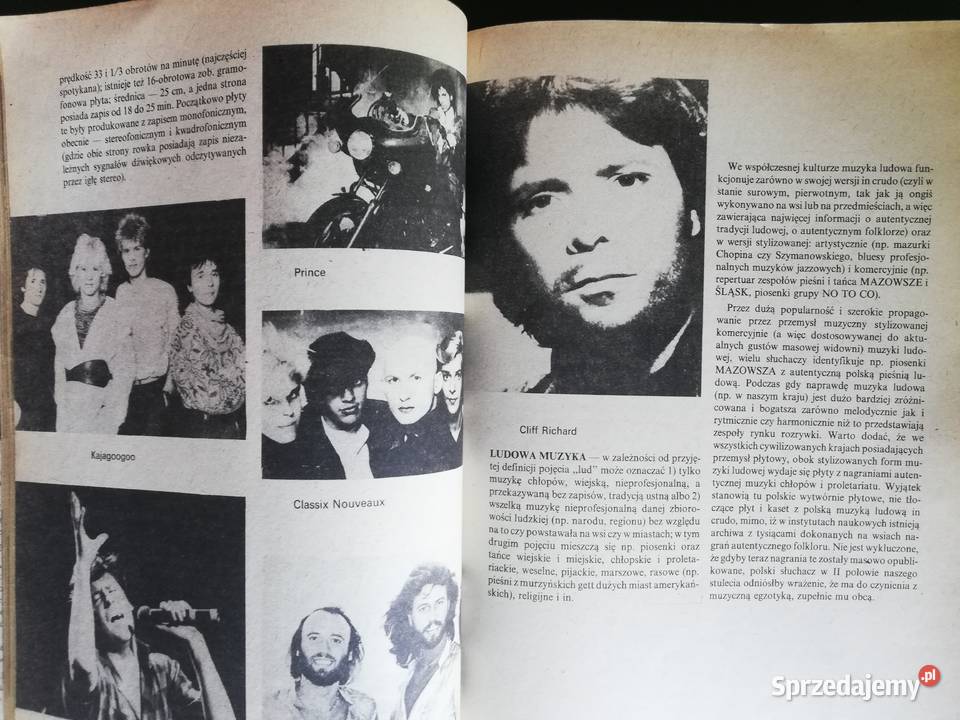 Mały słownik muzyki rozrywkowej Wacław Panek encyklopedie, słowniki, leksykony