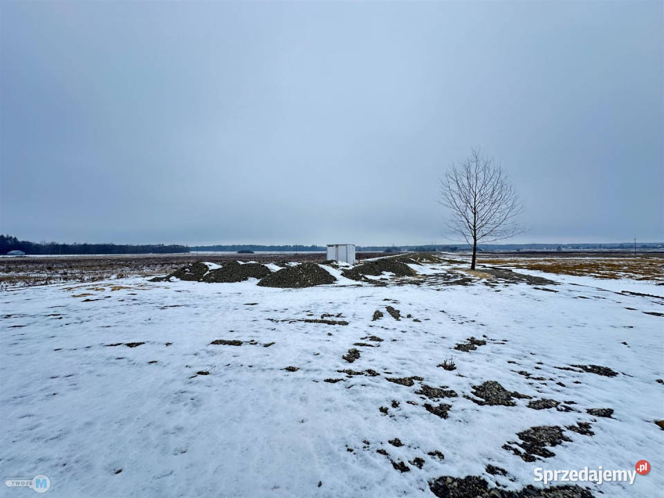 Grunt Celiny 4730m2 Sprzedaż