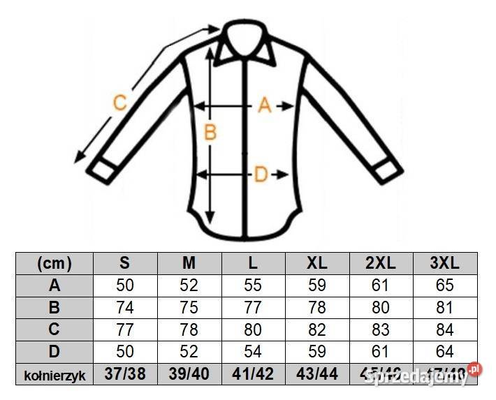 DANIEL BESSI Koszula Męska Fb064 Kolorowa Napisy