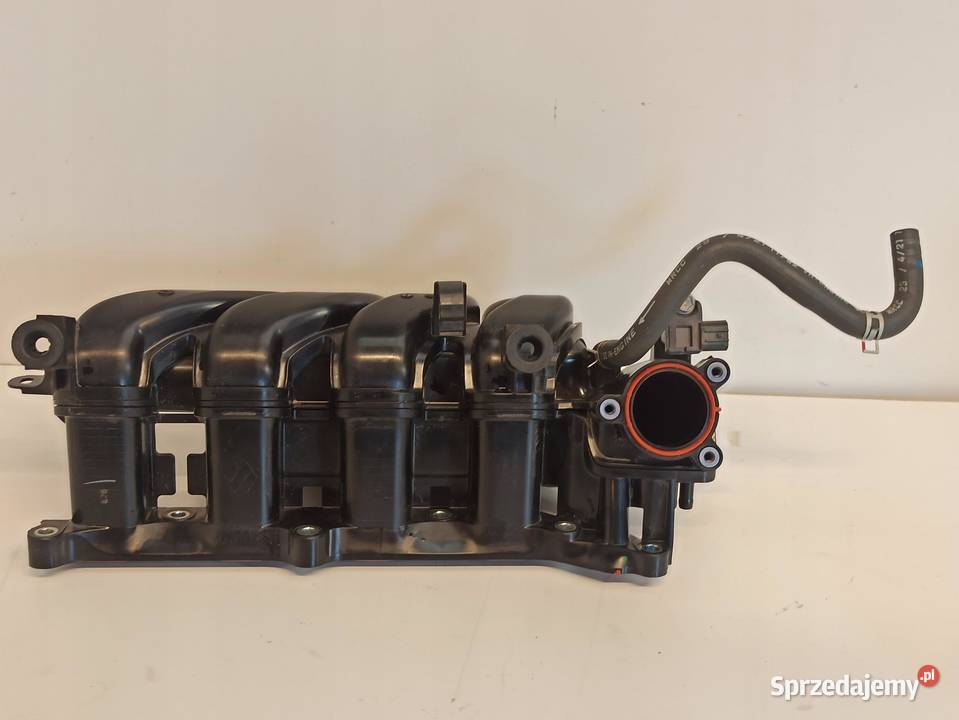 SUZUKI SWIFT VI MK8 KOLEKTOR DOLOTOWY 12 HYBRID dolnośląskie