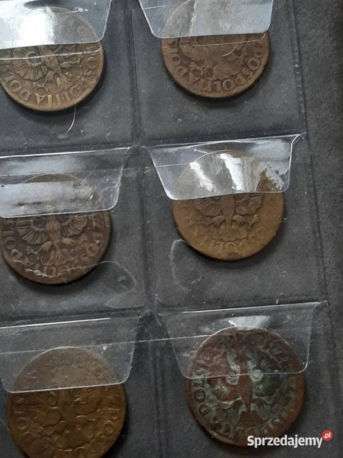 5 Groszy Bielsko-Biała