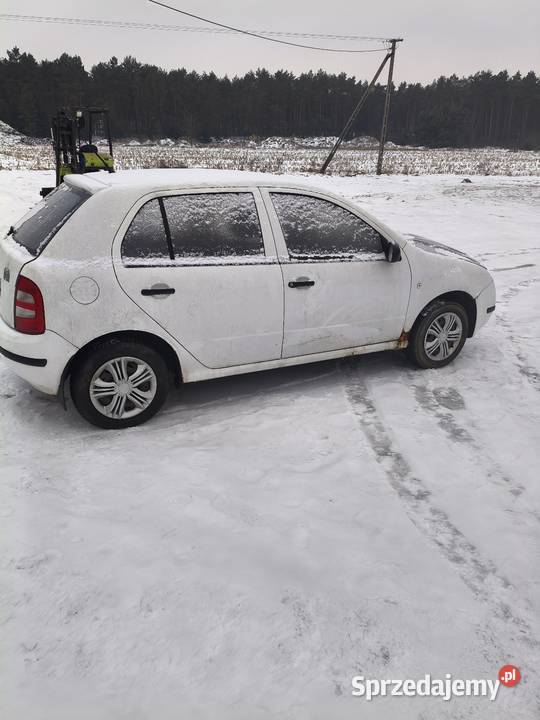Skoda Fabia kujawsko-pomorskie Ciechocinek